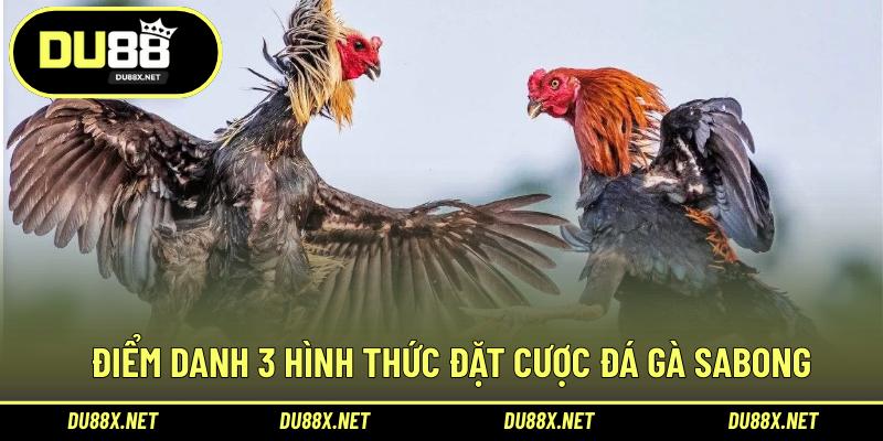 Điểm danh 3 hình thức đặt cược đá gà Sabong