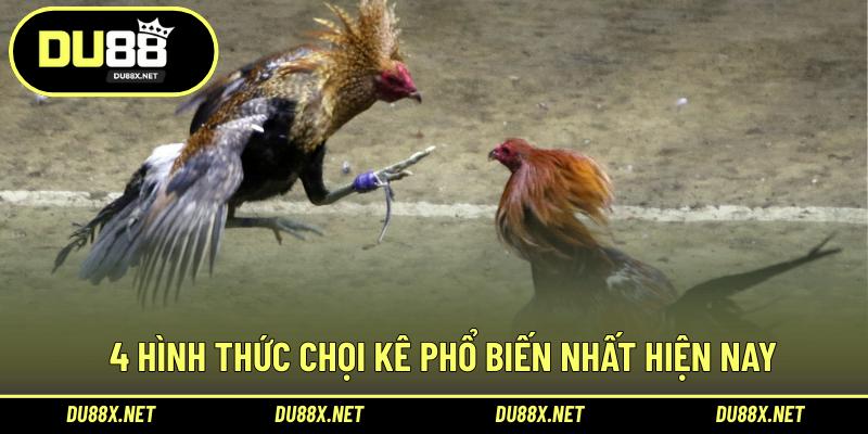 4 hình thức chọi kê phổ biến nhất hiện nay