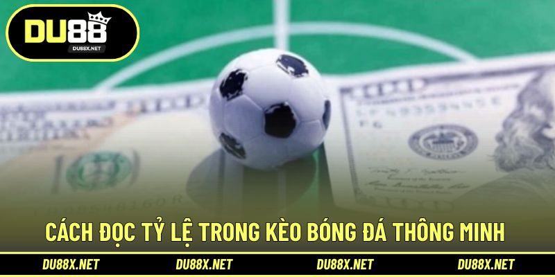 Cách đọc và hiểu con số trong tỷ lệ bóng đá