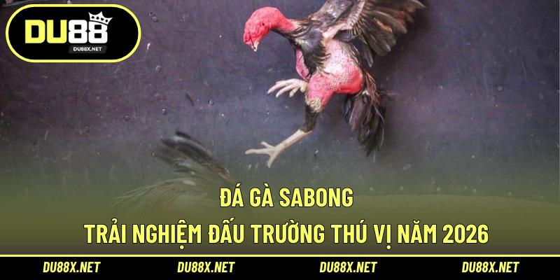 Đá Gà Sabong – Trải Nghiệm Đấu Trường Thú Vị Năm 2026