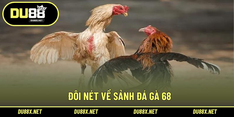 Đôi nét về sảnh đá gà 68