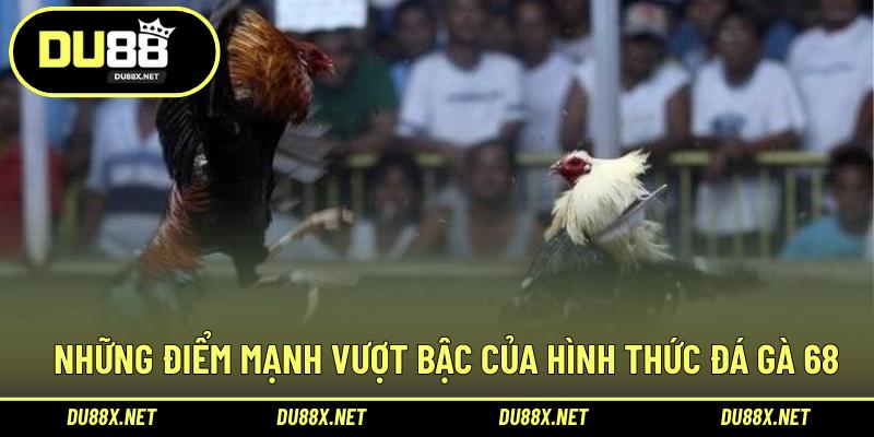 Những điểm mạnh vượt bậc của hình thức đá gà 68