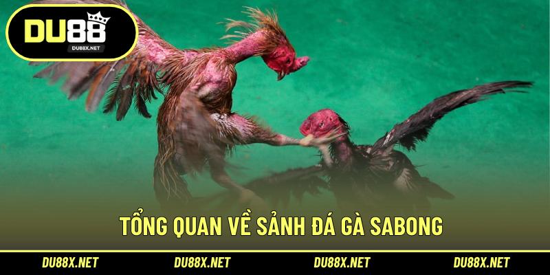 Tổng quan về sảnh đá gà Sabong